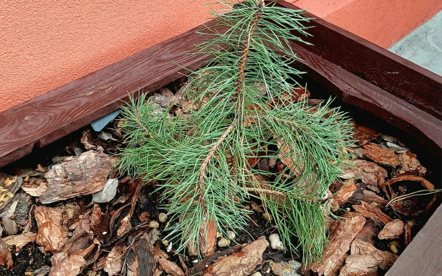 Меблированные комнаты На Проспекте Победы 65