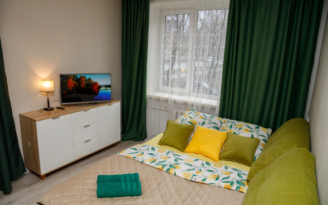 Komfortnaya V Tsentre Pushkino Na Moskovskom Flat
