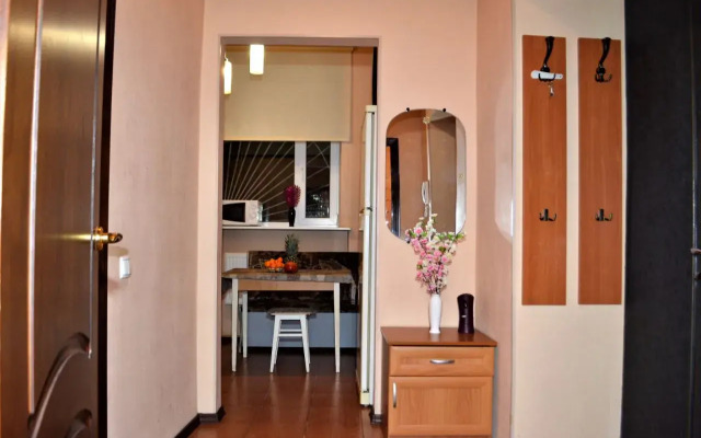 V Tsentre Na Lenina S Liftom Flat