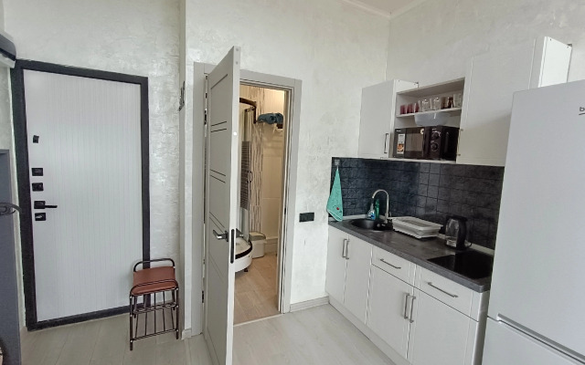 Studiya na prospekte Lenina Apartments