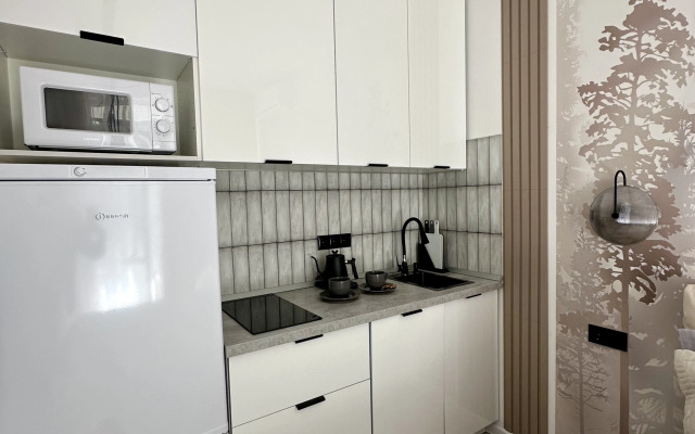 Uyutnaya Studiya Apartments