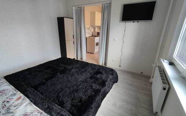 Smart-studiya na Lenina 243 Flat
