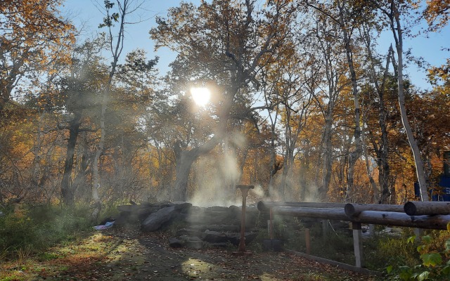 Cottages Goryachaya Sopka