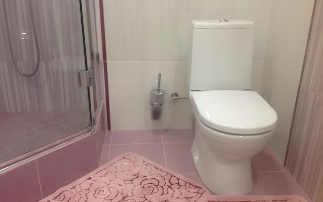 Апартаменты на Роз 41-21