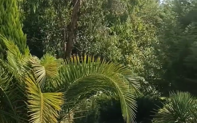 Mampre Villa