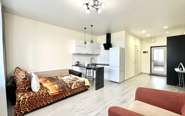 Апартаменты Истоман Большая студия 35 м2