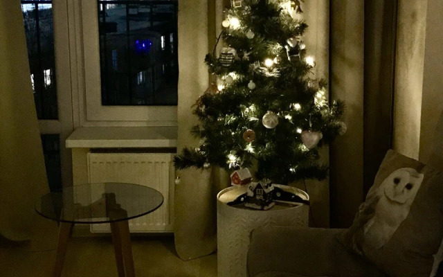 V Tsentre Goroda Flat