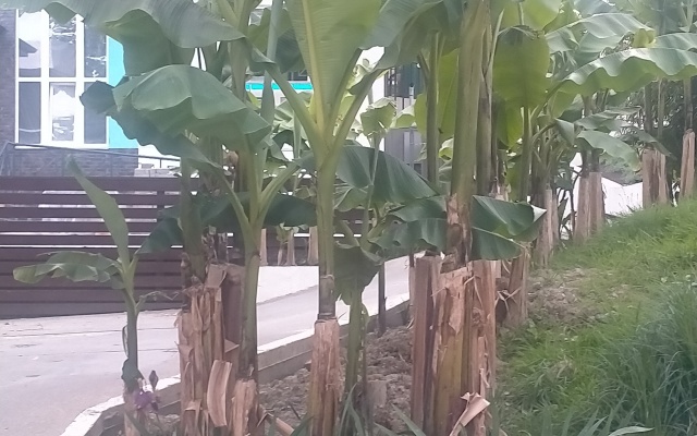 Квартира на улице Молодогвардейской 2/80