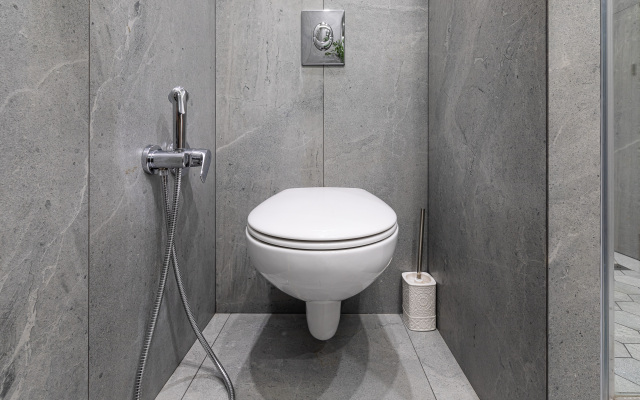 Апартаменты LS Savin House