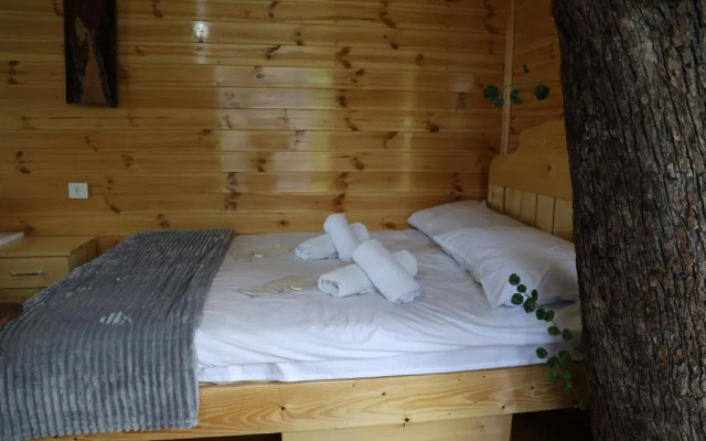 Глэмпинг Tree House Cafe & Homestay