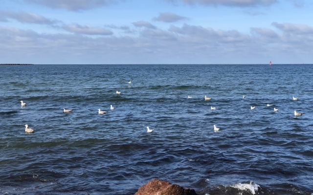 Квартира Baltic house