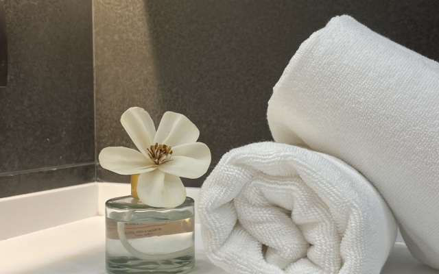 Four Seasons Gudauri Apart-hotel