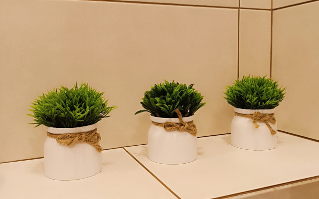 Квартира элегантная на Симановского