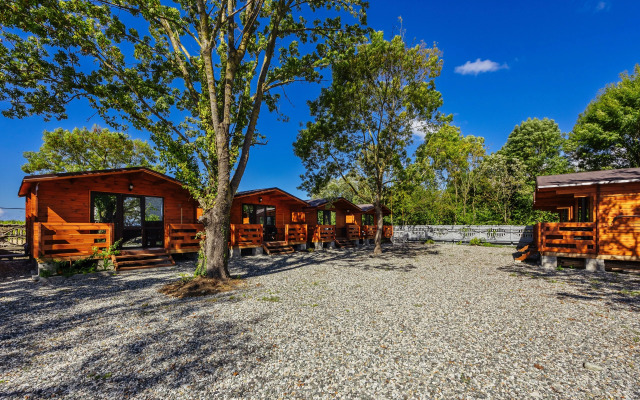 Magnoliya Mini hotel