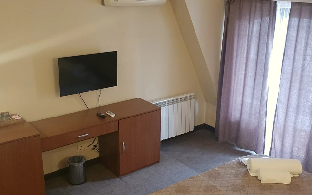 Ritsa Hotel