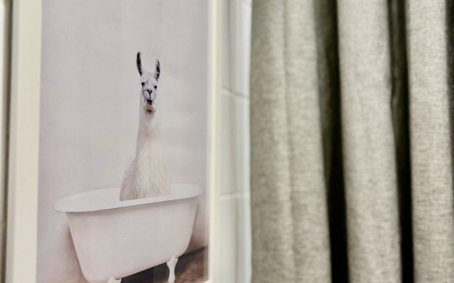 Квартира Уютная Студия