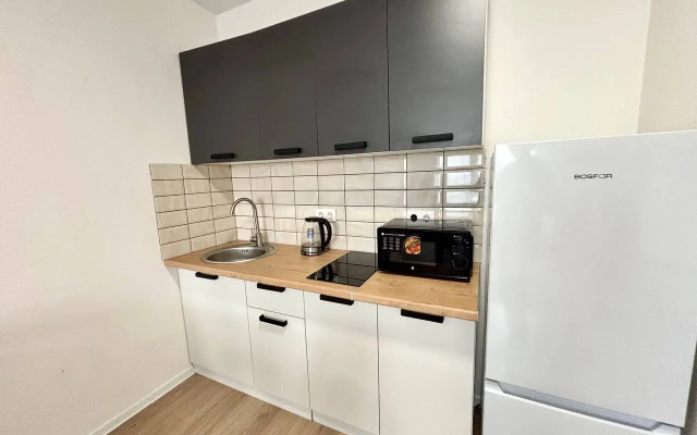 Квартира Просторная однокомнатная для 4х гостей