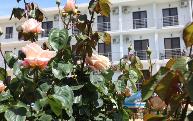 Гостевой Дом Династия (корпус 2)