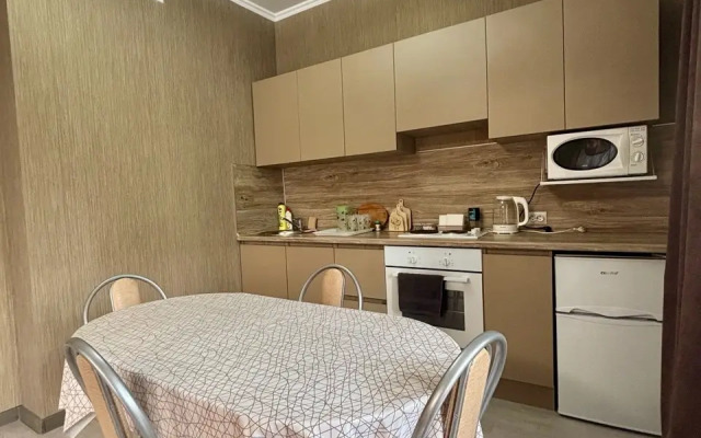 Uyutnaya I Bolshaya Kvartira-Studiya Flat