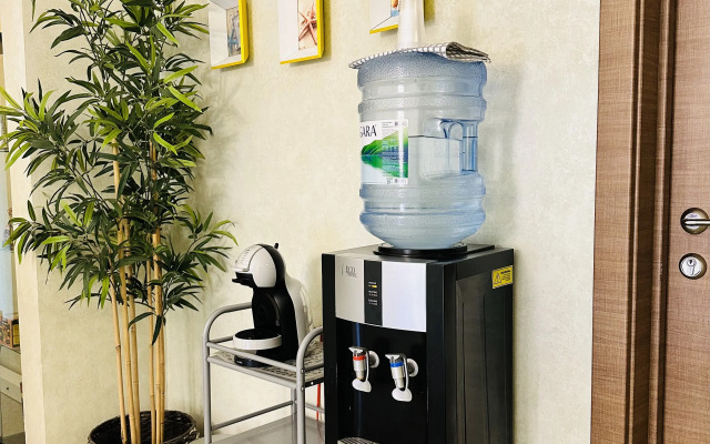 Гостиница Электростальская