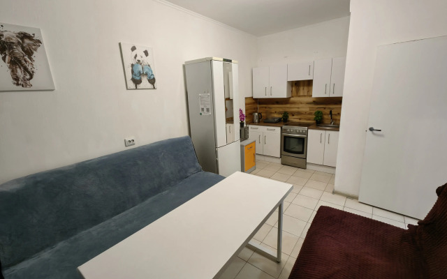 Odnushka Tsveta Yuvelira Flat