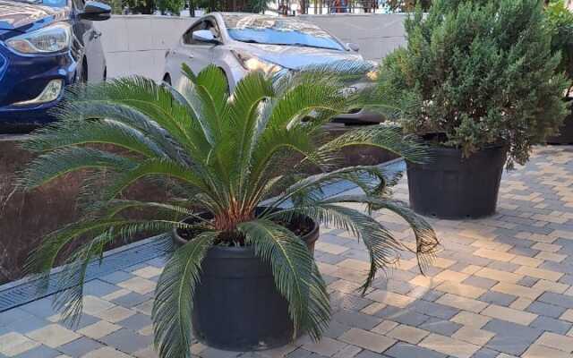 Квартира Новая заря