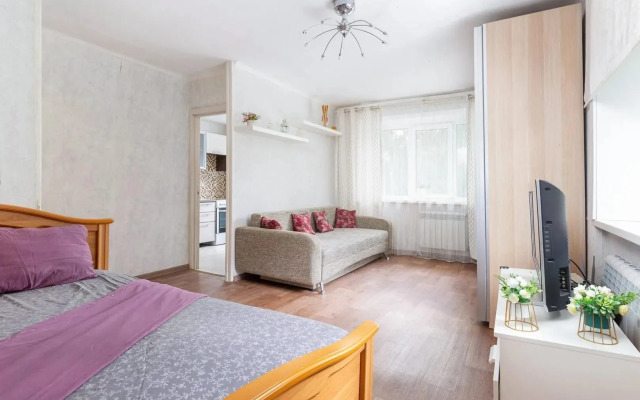 Квартира Светлая Однокомнатная