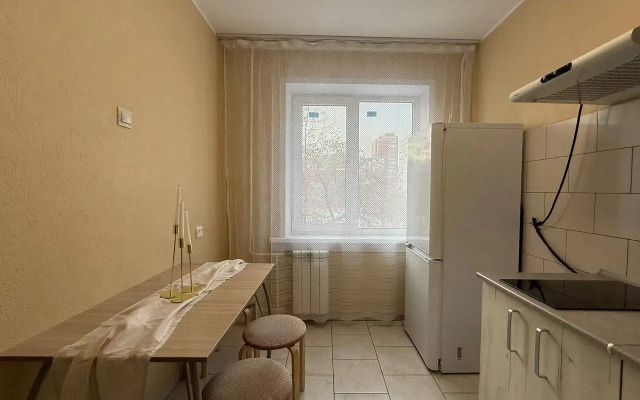 V Tsentre Goroda Flat