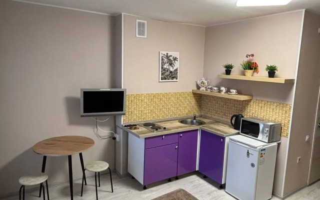 Квартира Студия светлая теплая и просторная