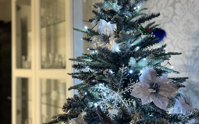 Квартира в исторической части города