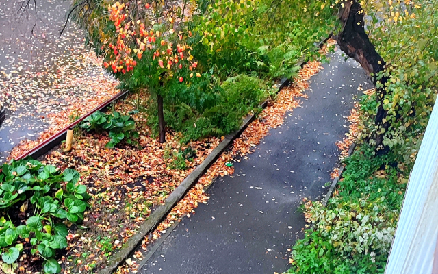 Квартира Большая в Центре Города