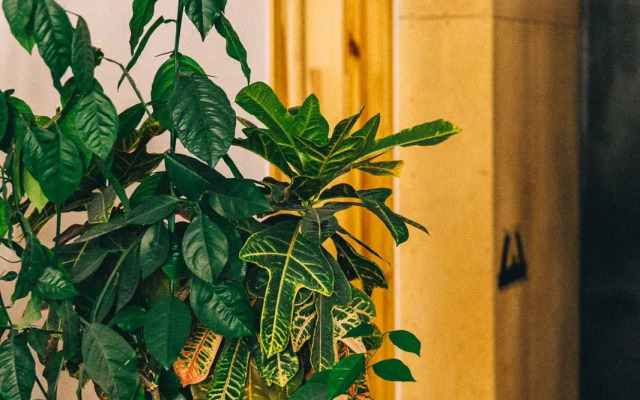 Квартира K7 Apartment на Большой Конюшенной