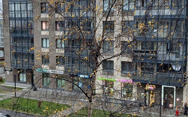 Квартира однокомнатная пр-т Беломорский 4847