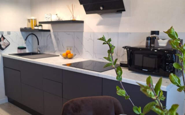 Апартаменты Gorki Metro Rodina Street