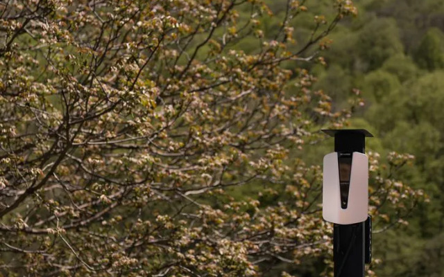 Отель Forrest Terrace