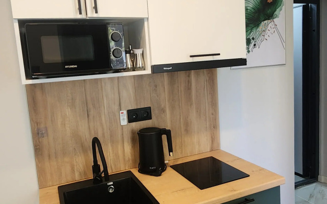 New Aparts Zelenye Apartments