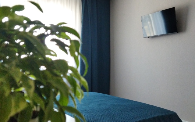 Na Posadskogo Apartments