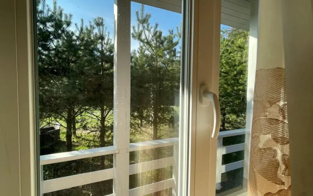 S Kaminom I Saunoy U Ozera Private House