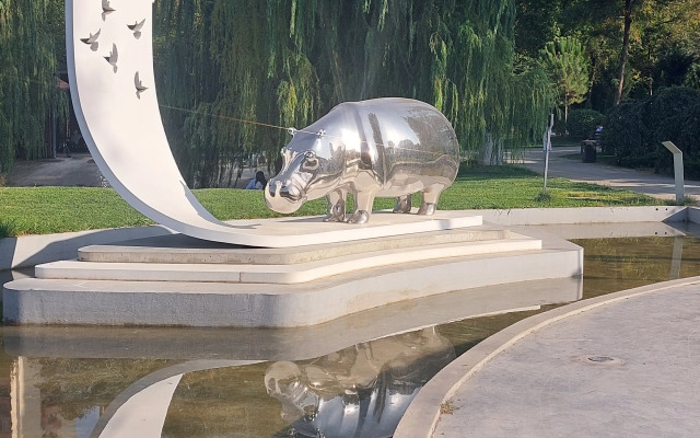 Апартаменты Kiwi