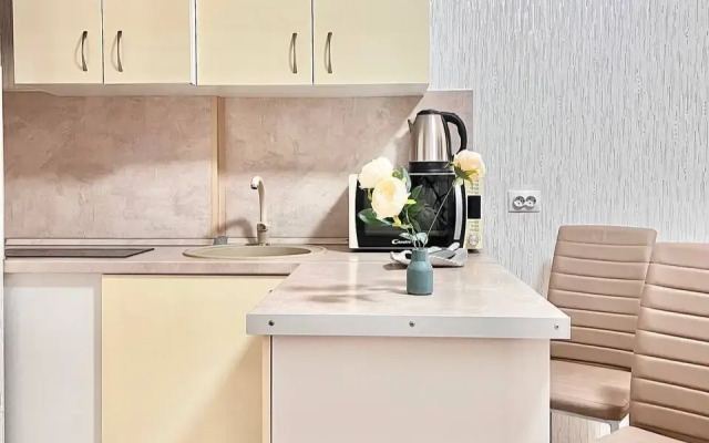 Апартаменты на Революции 52В