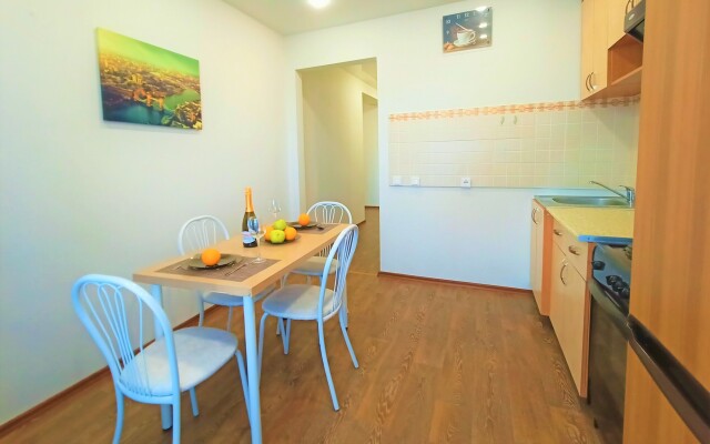One-room RusDom near the recreation center Rodina Apartments