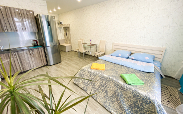 Kvartira studiya u zhd vokzala Apartments