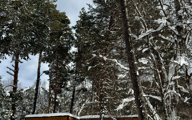 Глэмпинг Terra Glamp