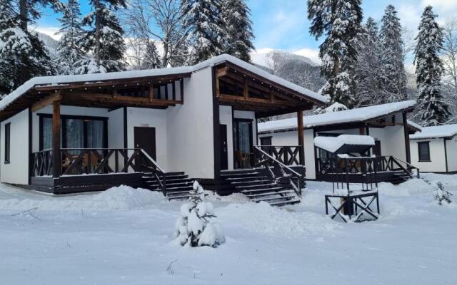 Dacha Apartments