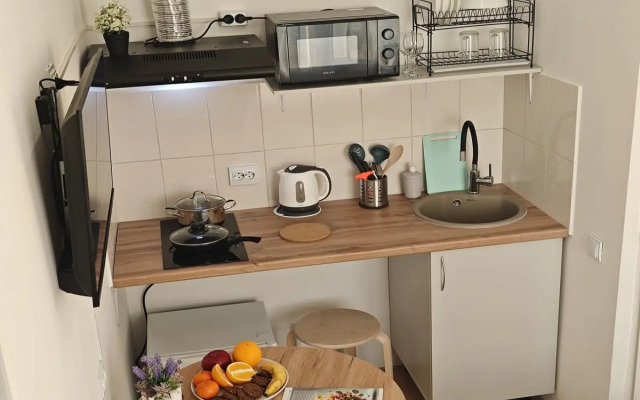 Квартира Уютная студия по ул. Тухачевского 49/3-33