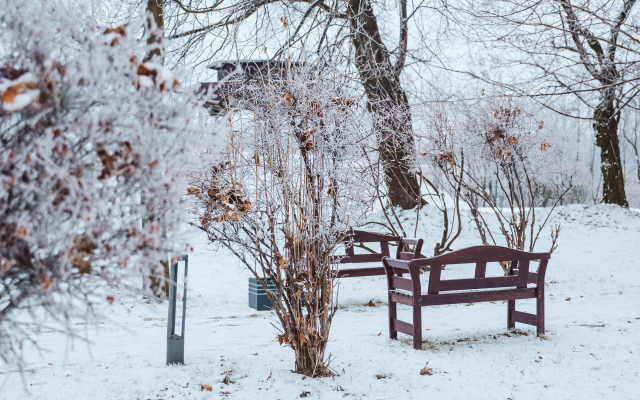 Dwór w Tomaszowicach