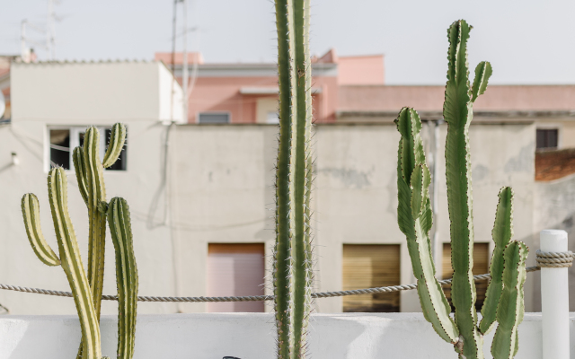 Fra Cielo e Mare Private house
