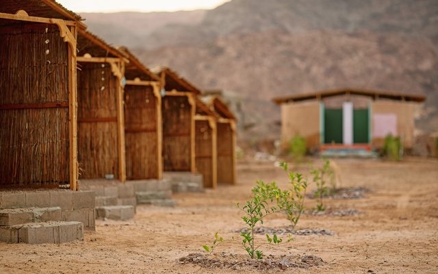 Кемпинг Bamba Camp