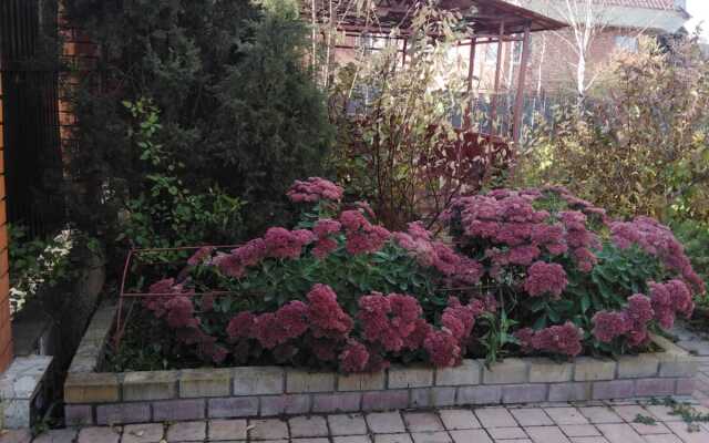 Vnukovo Home Guest house