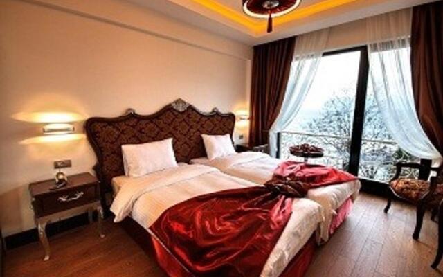 Babizer Konaklama & Restoran Hotel